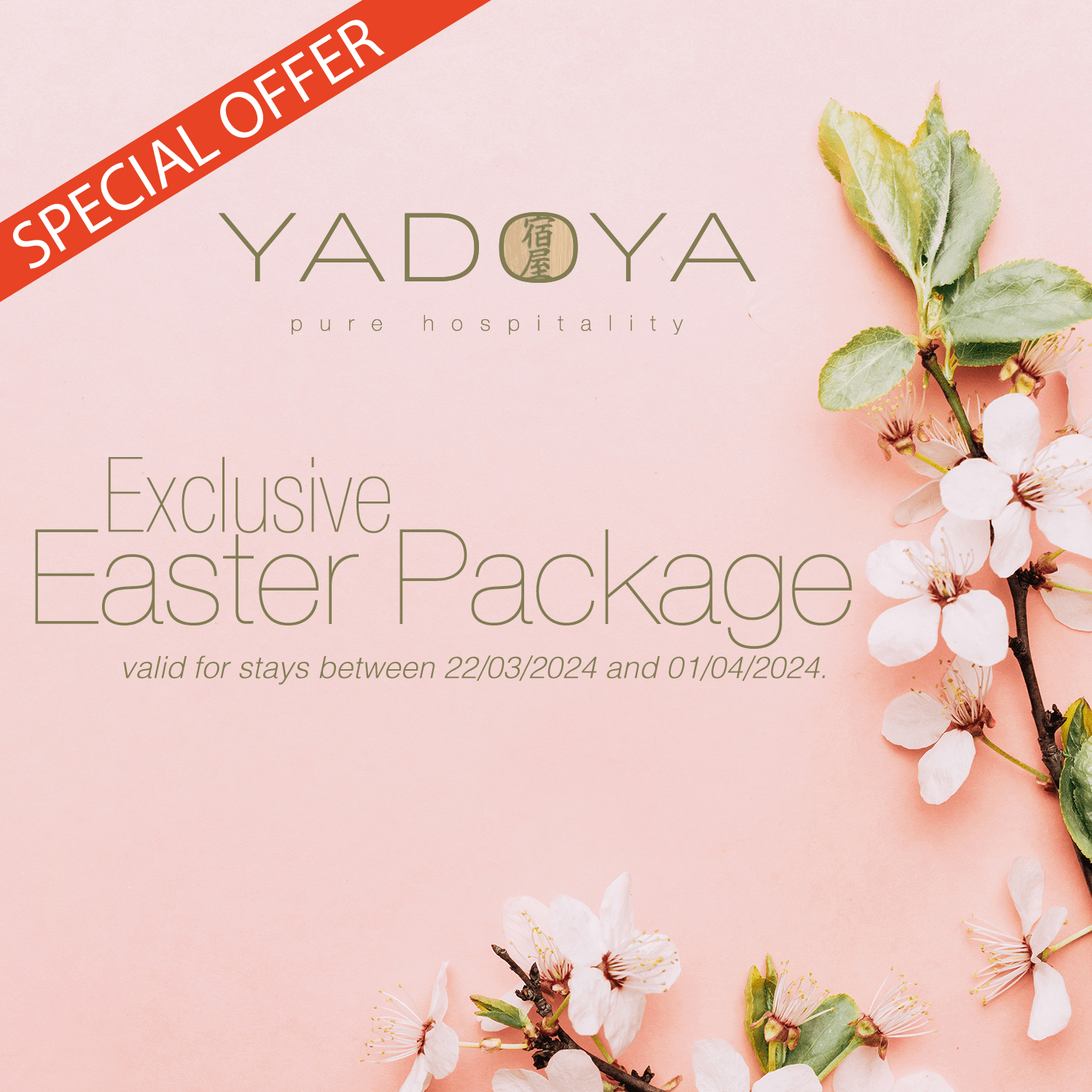 special offer